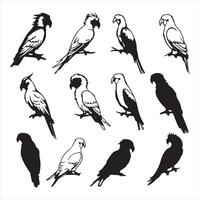 Drawing style of parrot birds set silhouette on white background vector