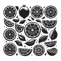 Lemon slice shape set. Lime black symbol collection. Citrus fruit whole, half and pieces silhouette group. isolated on white background vector