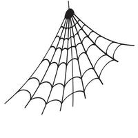 spider web icon line, simple art spider web vector