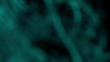Texture of dried leaves on a black background, creepy transition, horror movie, creepy transition video