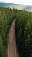 Aerial view of a road in the forest video