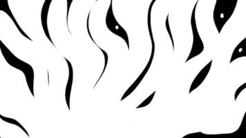 White fluid transitions loop animation video