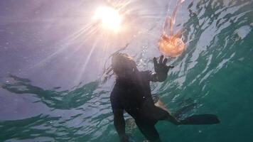 Jellyfish swims near man in water video