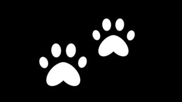 White paw prints of a pet. White silhouettes of cat footprints. Walking footsteps. Keep walking. Walking exercise. Physical activity. 4k animation on transparent background with alpha channel video