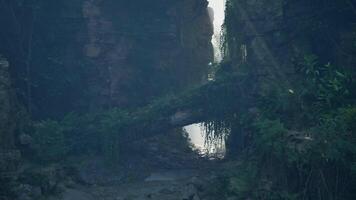 A serene stone bridge surrounded by lush forest scenery. mountain path video