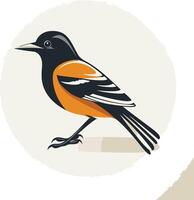 A beautiful baltimore oriole, a vibrantly colored songbird, is perched on a branch with its wings folded vector