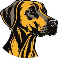 A powerful and striking element illustration of a doberman pinscher s head vector