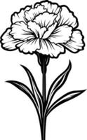 Elegant black and white illustration of a single carnation flower, perfect for adding a touch of floral beauty to your designs vector