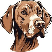 A detailed illustration of a german shorthaired pointer s head, showcasing its alert expression and beautiful markings vector