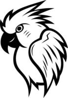 A stylized black and white illustration of a parrot's head, perfect for creating logos, branding, and designs with a tropical feel vector