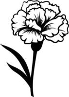Simple and elegant black and white illustration of a carnation flower vector