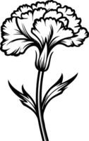 A simple and elegant black and white illustration of a carnation flower vector