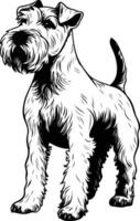 A striking black and white illustration of a wirehaired fox terrier, standing with a confident stance vector