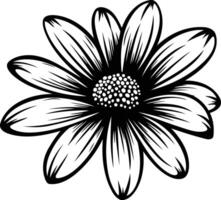 A simple yet elegant line art illustration of a single daisy flower vector