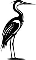 Elegant black and white silhouette of a heron, a graceful wading bird with long legs and a sharp beak vector