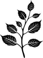 Elegant black and white silhouette of a delicate branch with leaves vector