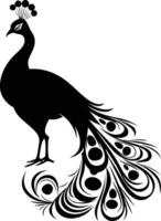 Elegant black and white silhouette of a peacock with its tail feathers spread out vector