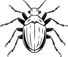 A detailed black and white illustration of a beetle with intricate lines and a simple, elegant design vector