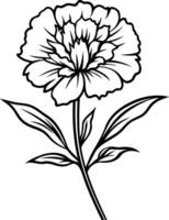 A simple yet elegant line drawing of a single carnation flower with leaves vector