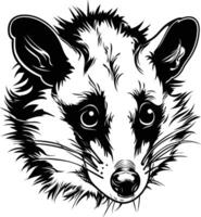 A striking black and white illustration of a raccoon's face, captured in a detailed, expressive line art style vector