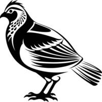 Black and white element illustration of a quail with intricate plumage vector