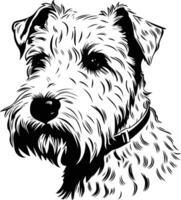 A detailed black and white illustration of a terrier with a collar, captured in a head and shoulders portrait vector