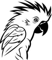 Black and white illustration of a parrot in a simple line art style, perfect for tattoo designs, coloring pages, or adding a touch of whimsy to your projects vector