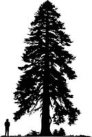 A dramatic silhouette of a towering pine tree, capturing its majestic presence against a blank canvas vector