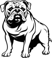 A strong and powerful bulldog, drawn in a bold black and white style vector