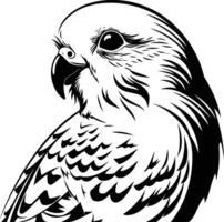 A black and white stylized illustration of a parrot head and shoulders, perfect for tattoo designs, logos, or any project requiring a bold and striking bird image vector