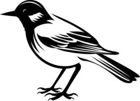 Black and white line art illustration of a bird in profile, with a simple yet elegant design vector