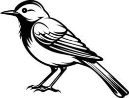 Black and white element illustration of a wagtail bird in a minimalist style vector