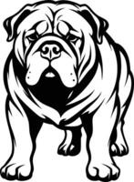 Black and white illustration of a bulldog standing in a powerful pose vector