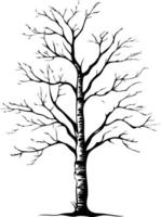 Simple silhouette of a bare tree, perfect for adding a touch of nature to your design vector