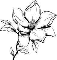 Elegant black and white line drawing of a magnolia flower, perfect for floral design, tattoo art, or as a decorative element vector
