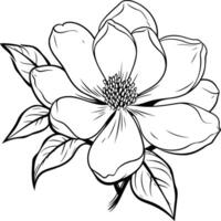Line art drawing of a delicate magnolia flower, perfect for tattoos, branding, or design projects vector