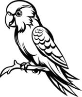 Black and white illustration of a parrot perched on a branch vector