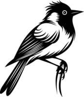 A bold and stylized black and white illustration of a bird, perfect for tattoo design, branding, or nature themed projects vector