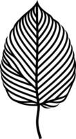 Simple, elegant line art illustration of a single leaf, perfect for minimalist designs, branding, and nature inspired projects vector