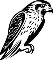 Sharp, black and white illustration of a hawk or falcon in a stylized design, perfect for tattoos, t shirts and other merchandise vector