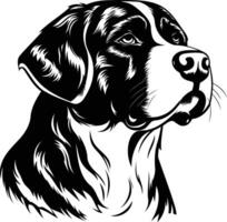 A striking black and white illustration of a bernese mountain dog's head in profile, capturing the breed's distinctive features vector