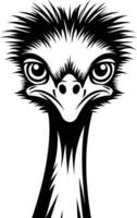 A striking black and white illustration of an ostrich's head, showcasing its distinctive features vector