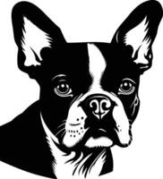 A bold and striking silhouette of a french bulldog, perfect for creating unique designs and illustrations vector
