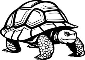 A detailed, black and white illustration of a turtle with its shell drawn in a vintage style vector