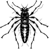 Black and white illustration of a detailed beetle with a segmented body and multiple legs vector