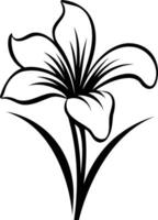 Elegant black and white illustration of a single lily flower with leaves vector