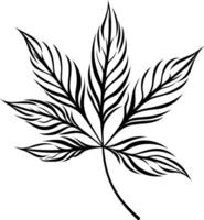 Black and white element illustration of a stylized leaf with intricate line detail, perfect for tattoo designs, nature-themed prints, or botanical illustrations vector