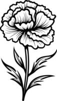 Elegant black and white line art illustration of a single carnation flower with delicate petals and stem vector
