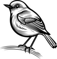 A detailed black and white line drawing of a small bird perched on a branch vector