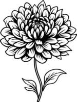 Elegant black and white illustration of a single dahlia flower, perfect for adding a touch of nature and sophistication to your designs vector